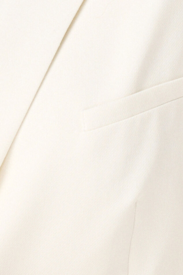 Blazer met knoopsluiting image number 6