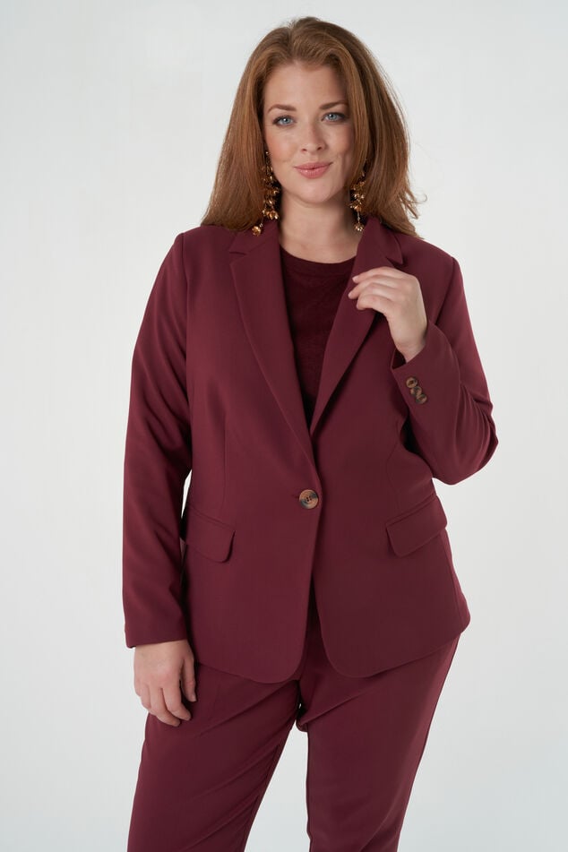 Blazer met knoopsluiting image number 6
