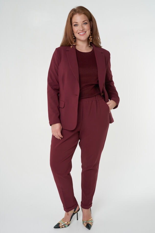 Blazer met knoopsluiting image number 0