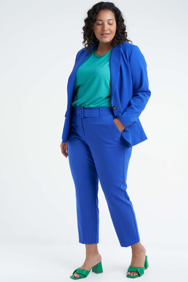 Blazer image number 6