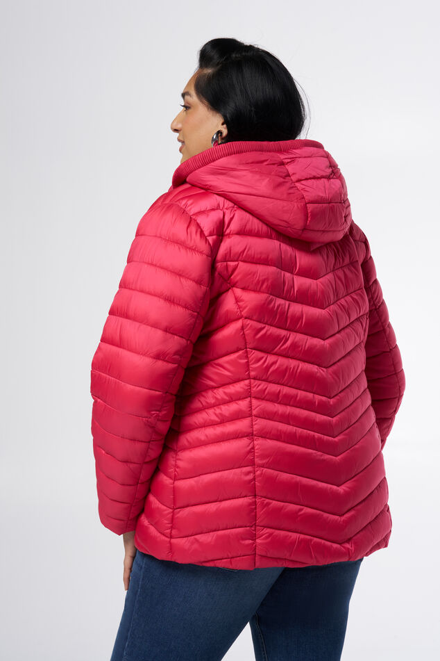 Veste matelassée à capuche  image number 3