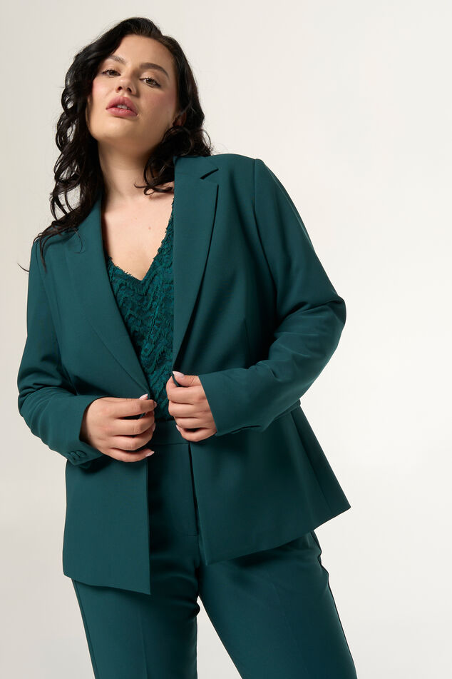 Blazer met knoopsluiting image number 0