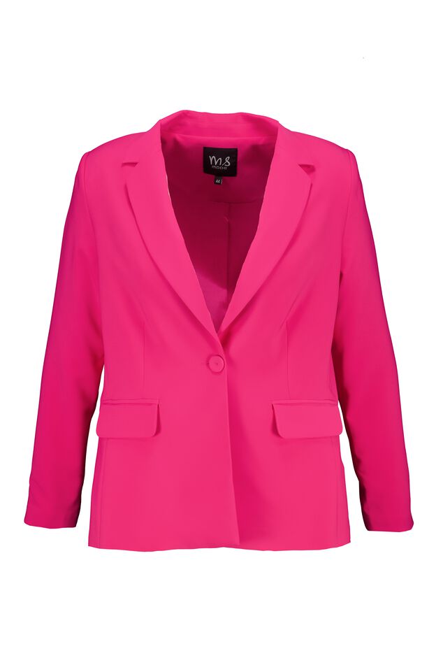 Blazer extensible image number 1