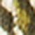 Multi Khaki Multi Khaki