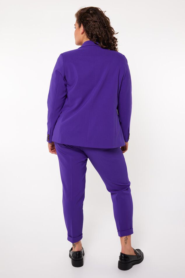 Blazer met knoopsluiting image number 3