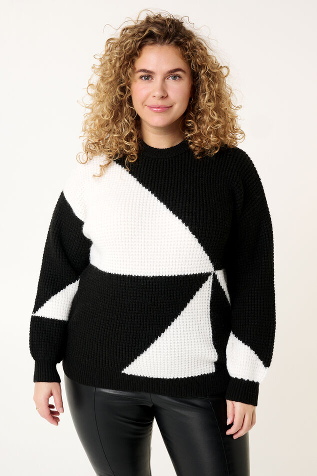 Gebreide trui met twee kleuren image number 0