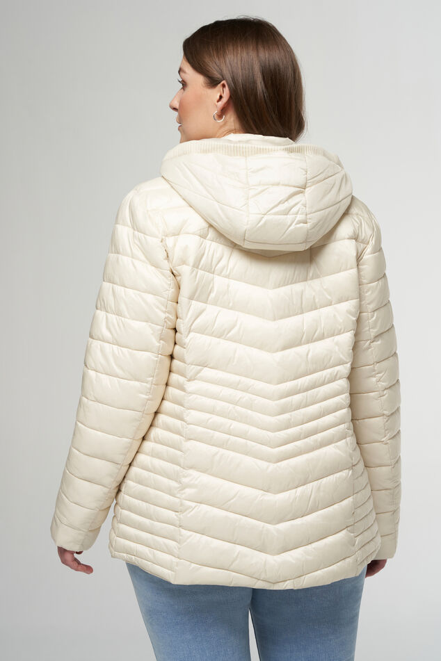 Lichtgewicht gewatteerde jas image number 3