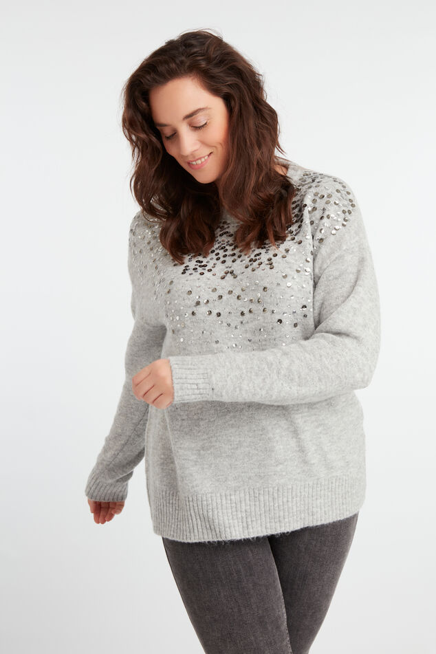 Trui met pailletten image number 3