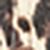 Multi brown Multi brown