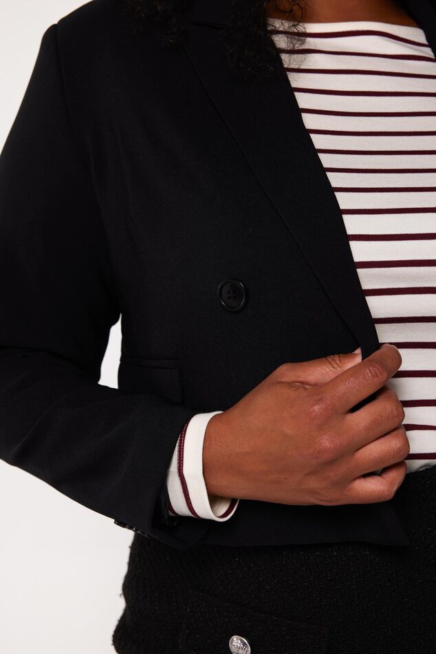 Blazer cropped image number 4