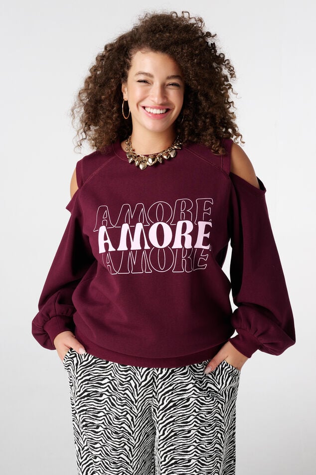 Pull avec épaule découpée image number 0