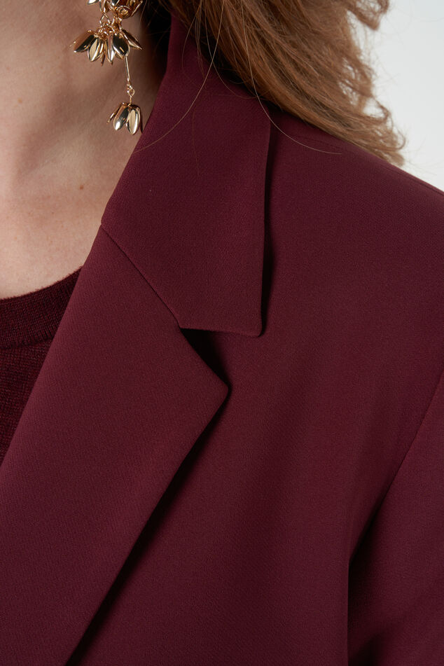 Blazer met knoopsluiting image number 5