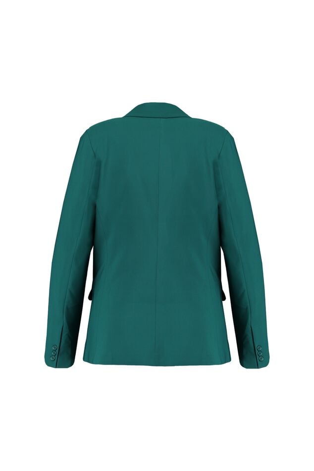 Blazer image number 3