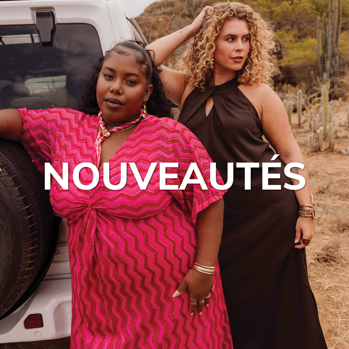 Nouveaut&eacute;s